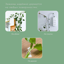 Цена за 2 шт. Крепления для вьющихся растений, самоклеящиеся, Листок, набор 10 шт., Greengo фото 6