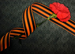 07С3424-Г50 (рис.4095) ЛЕНТА ГЕОРГИЕВСКАЯ 24мм, (пл.3,60гр/м) (рул.50м) - Текс-дизайн фото 2