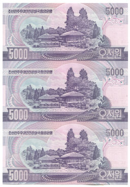 5000 вон 2006 года Северная Корея  Лист из трех банкнот