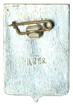 Значок Боровичи