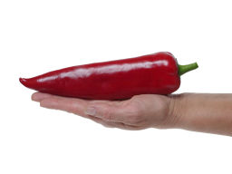 Перец сладкий Самандер - Партнер фото 5