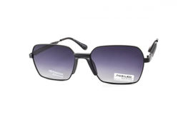 POMILED POLARIZED 08254 C4-124 55-19-132
