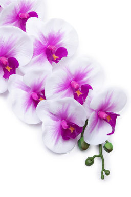 Веточка декоративная "Орхидея" 93 см (SF-8089) белый/сиреневый