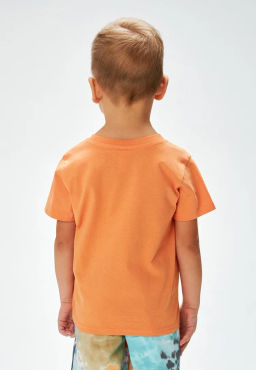 ACOOLA / Футболка детская для мальчиков Havel оранжевый фото 3