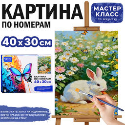 Картина по номерам MKR4030-154 "Кролик с морковкой" 40х30 см.