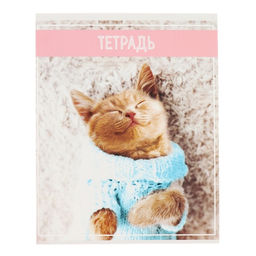 Комплект тетрадей из 5 штук (4 разные + 1 повторяющаяся), 36 листов в клетку Calligrata "Кошки", обложка мелованная бумага, блок №2, белизна 75% (серые листы)