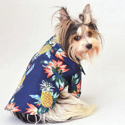 Рубашка для собак и кошек малых и средних пород "СТИЛЬНЫЙ БРО", цвет синий, принт ананасы с цветами, размер L
