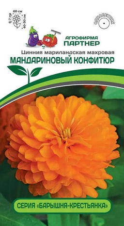 3379P Цинния МАНДАРИНОВЫЙ КОНФИТЮР / мариландская махровая 5шт