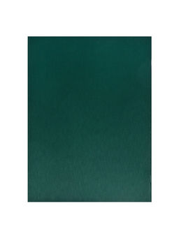 Набор тетрадей Calligrata. VIGO, А4, 2 штуки, 96 листов, обложка из бумвинила, зелёные