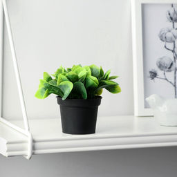 Искусственный цветок в горшке Хавортия ладьевидная, 7?10 см