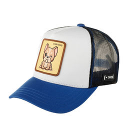 Бейсболка CAPSLAB арт. CL4/1/CT/CHI Premium Chibi dog (белый / синий )