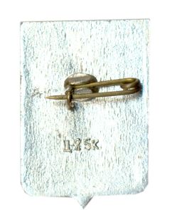 Значок Боровичи