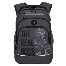 RB-450-3 Рюкзак школьный - Grizzly фото 28