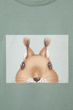 КР 302168/полынь фуфайка для дев