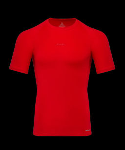 Футболка компрессионная JOGEL PerFormDRY Baselayer Tee SS 2, красный  фото 2
