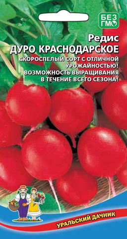 Редис ДУРО КРАСНОДАРСКОЕ  Сладкий! Крупный! Без горечи! Без пустот! Самый популярный!