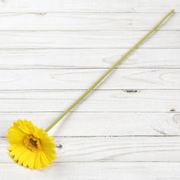 Цветок искусственный Гербера 43 см желтый / 1501 /уп 56/560/ латэкс - ГалеонТрейд фото 7
