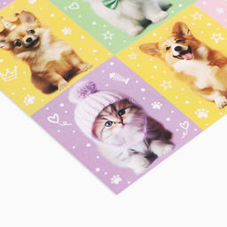 Цена за 10 шт. Наклейки детские бумажные «Котики и пёсики», c раскраской, 11×15.5 см