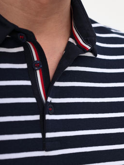 Джемпер мужской с воротником поло короткий рукав GREG G144-KD1246T-UT21 (белая полоска)  фото 2