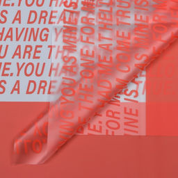 Цена за 20 шт. Пленка для цветов матовая, Письмо прозрачное, 58х58см, морковный