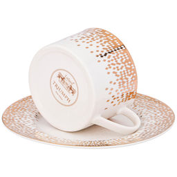 ЧАЙНАЯ ПАРА LEFARD TRIUMPH 220 МЛ  фото 4