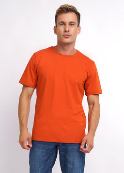 CLE Футболка муж. 600309г_п св.жёлтый - Clever wear фото 14