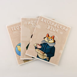 Тетради предметные, 48 л., А5, набор из 3 шт., «КОТ»