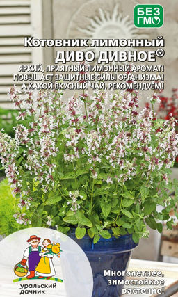 Котовник лимонный ДИВО ДИВНОЕ Яркий, приятный аромат! Повышает защитные силы организма! А какой вкусный чай...