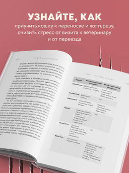 Кошачий закон и порядок. Как найти общий язык с кошкой и не стать жертвой ее капризов