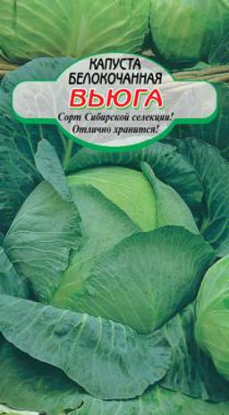 Вьюга капуста б/к 0,5г среднеспелая (ссс) Р