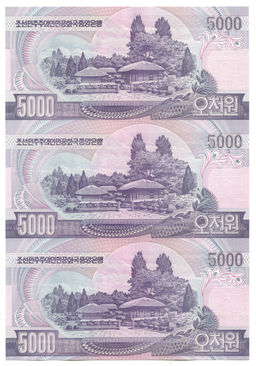 Банкнота 5000 вон 2006 года Северная Корея  Лист из трех банкнот