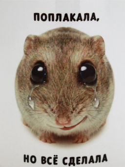 Кружка керамическая «Поплакала, но все сделала», 320 мл