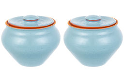 Набор 2 горшков 0,9 л 14,5*14,5*12,5 см "TerraCotta" с крышкой для запекания голубой