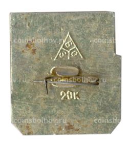 Значок Владимир