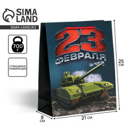 Цена за 2 шт. Пакет подарочный ламинированный, упаковка, «С 23 февраля», ML 25×21×8 см