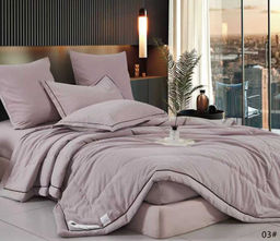 Одеяло Boris E-Shine Бархат Сатин с простыней на резинке по кругу и наволочками ODBORSH03 Евро