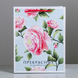 Цена за 2 шт. Пакет подарочный ламинированный, упаковка, «Прекрасных мгновений», MS 18×23×10 см