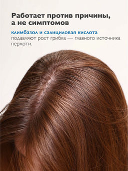 AMBREE Professional для волос шампунь-бальзам 2в1 От перхоти 1л Fire in the frost