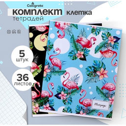 Комплект тетрадей из 5 штук, 36 листов в клетку Calligrata «Фламинго», обложка мелованный картон, блок офсет