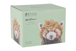 Кружка, 370 мл, фарфор P, светло-зеленая, Панда, Marini Ferlazzo - Maxwell & Williams фото 3