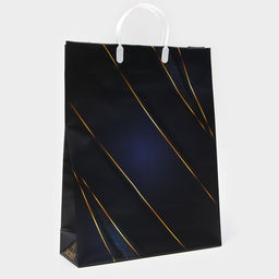 Цена за 10 шт. Пакет «Роскошь», мягкий пластик, 42×32 см