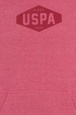 U. S. Polo Assn Мужская комфортная толстовка с капюшоном - U.s. polo assn фото 6