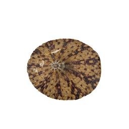 Blumentag / Zlatka DRF-012 Ракушки 50 г  5 г 6.3 см Patella Testudinaria
