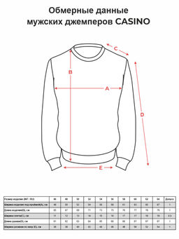 Джемпер мужской CASINO c123- зиг-заг коричневый 765  фото 2