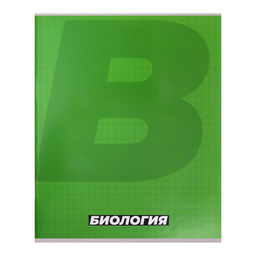 Набор предметных тетрадей А5, 36 листов Сalligrata MonoTone, 10 предметов, серые листы