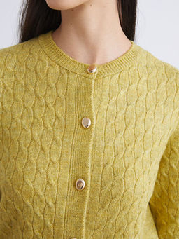 Bisiklet Yaka Kendinden Desenli Kad?n Triko H?rka