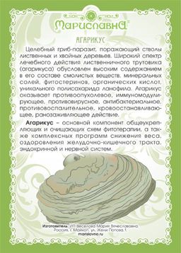 Гриб Агарикус - Мариславна фото 3
