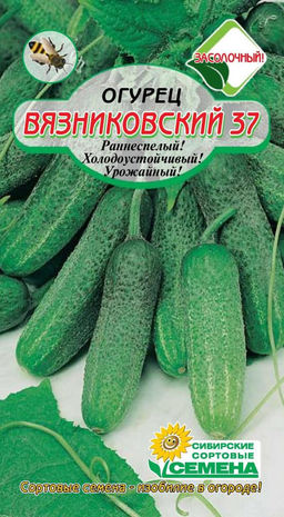 Вязниковский 37 огурец 10 шт(0,5 гр) (ссс) Р пч