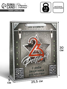 Цена за 2 шт. Пакет подарочный ламинированный 23 февраля, M 25.5?30?9 см