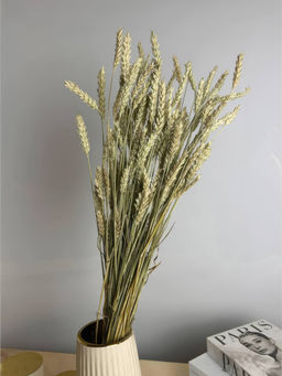 Пшеница безостая натуральная, пучок 50г, 60 колосьев, h 60-70см